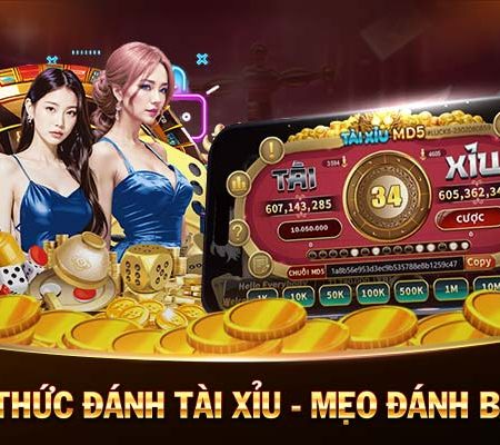 đá gà casino 🎲game bài đổi thưởng 10nhacai