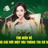 VN88-Khám phá trang cược xanh chín ngay hôm nay!