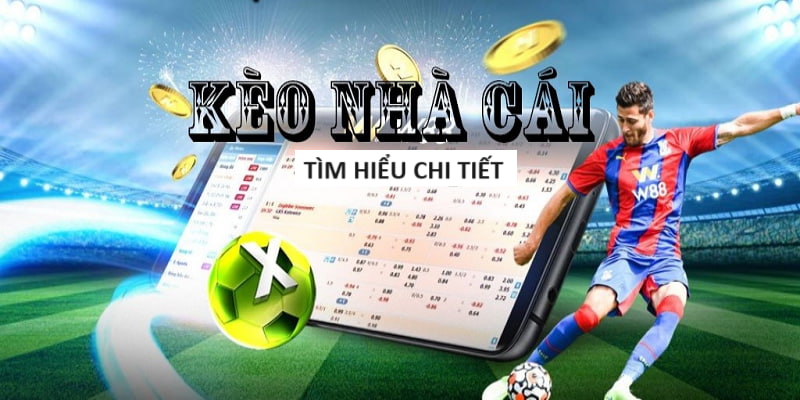 xổ số việt plus ngày 17 tháng 5 - xổ số đồng nai ngày 15 tháng 1 năm 20 - Bí ẩn jackpot 700 triệu